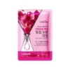 Dragon Fruit 25ml